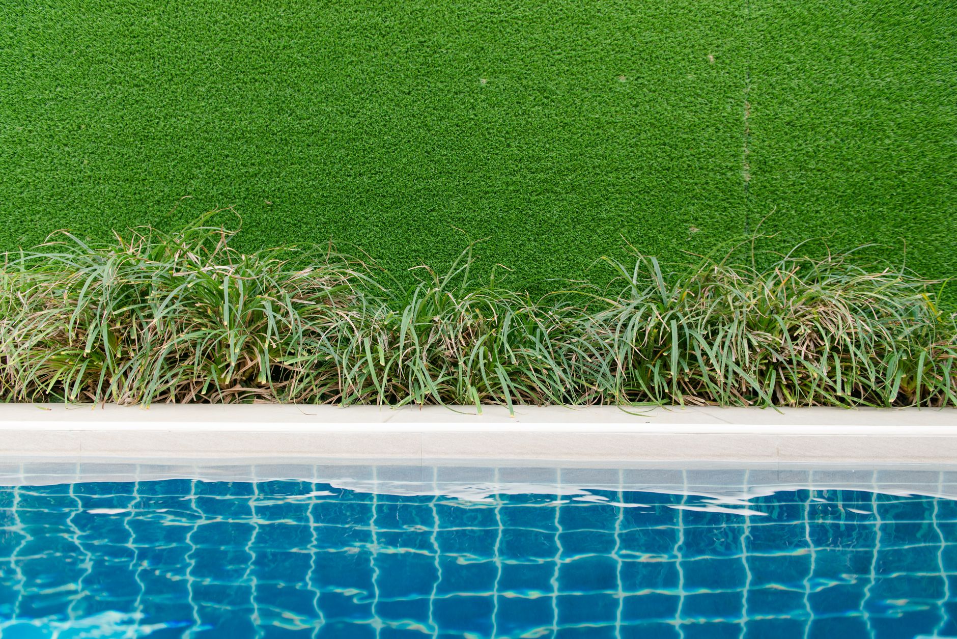 A backyard swimming pool turned bright green with algae in Yuma, Arizona