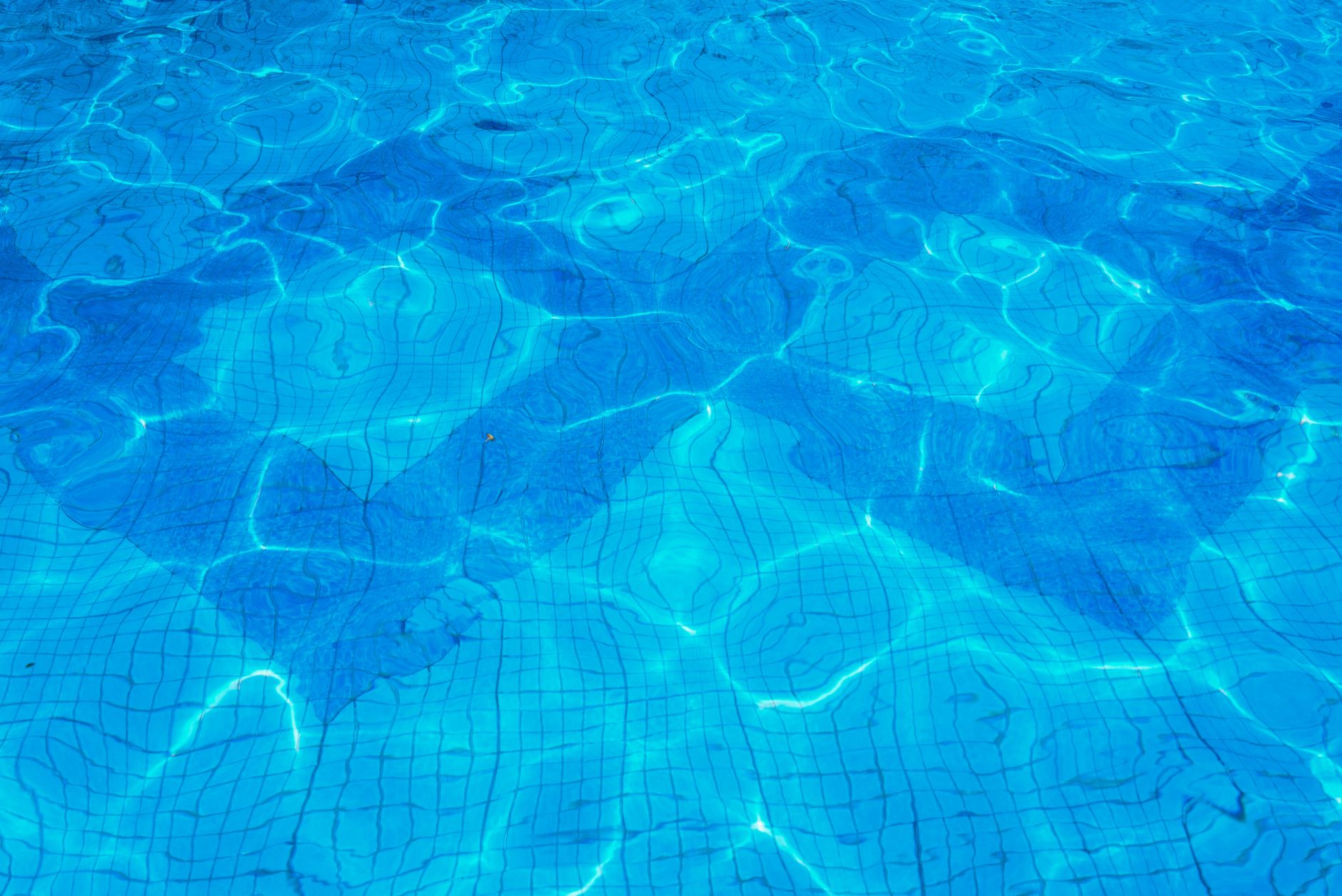 A sparkling backyard saltwater pool in Yuma, Arizona under bright desert sunshine
